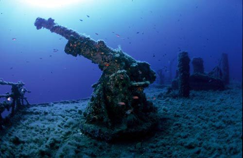 CANNONE K-T