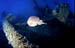 TORPEDINE1